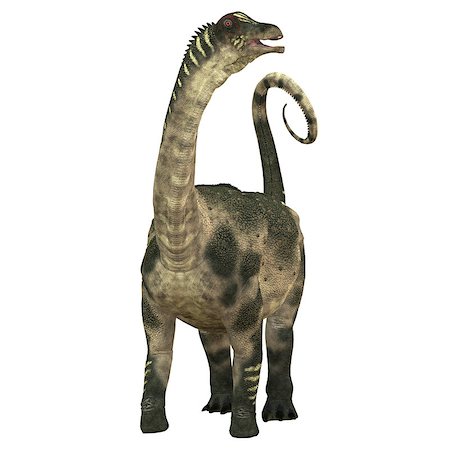 simsearch:400-07039388,k - Antarctosaurus was a sauropod herbivore dinosaur that lived during the Cretaceous Period in South America. Stockbilder - Microstock & Abonnement, Bildnummer: 400-08334060