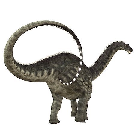 simsearch:400-05375985,k - Apatosaurus also called Brontosaurus was a herbivorous sauropod dinosaur that lived in the Jurassic Period of North America. Fotografie stock - Microstock e Abbonamento, Codice: 400-08334061
