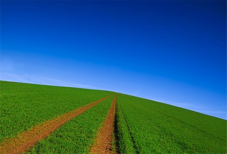 simsearch:400-06919516,k - Rural road in green grass field with deep blue sky Stock Photo - Budget Royalty-Free & Subscription, Code: 400-08334438