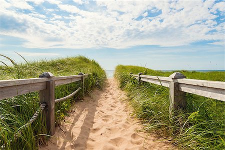 Path to the beach at Basin Head (Point East Coastal Drive, Prince Edward Island, Canada) Foto de stock - Super Valor sin royalties y Suscripción, Código: 400-08334584