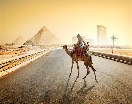 simsearch:400-09222068,k - Bedouin and camel on asphalted road to Giza and pyramids Stock Photo - Budget Royalty-Free & Subscription, Code: 400-08334988