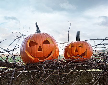 simsearch:400-05270213,k - Funny face pumpkins sitting on grapevine and fence Foto de stock - Royalty-Free Super Valor e Assinatura, Número: 400-08335305