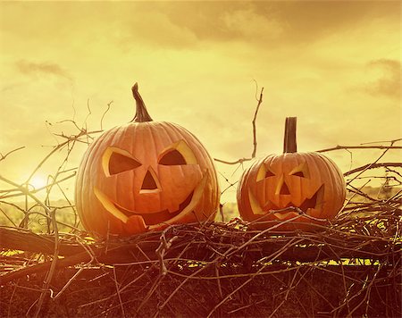 simsearch:400-05270213,k - Funny face pumpkins sitting on grapevine and fence Foto de stock - Royalty-Free Super Valor e Assinatura, Número: 400-08335306