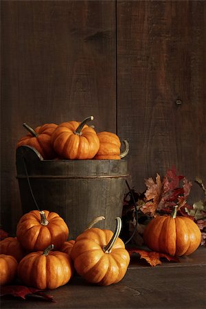 simsearch:400-06391236,k - Miniature pumpkins on wooden table with leaves Fotografie stock - Microstock e Abbonamento, Codice: 400-08335308