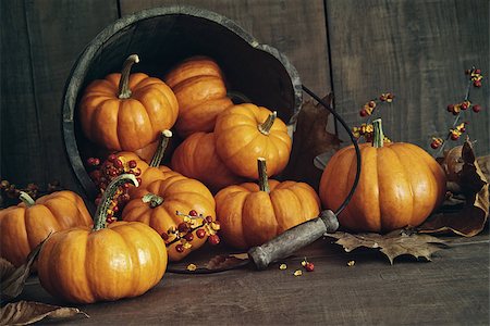 simsearch:400-06391236,k - Fall still life with small pumpkins in wooden bucket Fotografie stock - Microstock e Abbonamento, Codice: 400-08335303