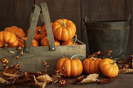simsearch:400-06391236,k - Small pumpkins in wooden box with leaves and berries Fotografie stock - Microstock e Abbonamento, Codice: 400-08335320