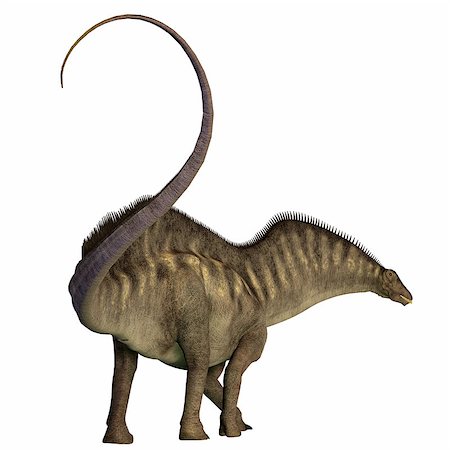 simsearch:400-08332007,k - Amargasaurus was a herbivorous sauropod dinosaur that lived in Argentina during the Cretaceous Era. Foto de stock - Super Valor sin royalties y Suscripción, Código: 400-08335516