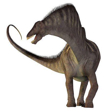 simsearch:400-08332007,k - Amargasaurus was a herbivorous sauropod dinosaur that lived in Argentina during the Cretaceous Era. Foto de stock - Super Valor sin royalties y Suscripción, Código: 400-08335517