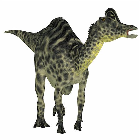 simsearch:400-05375985,k - Velafrons was a large herbivorous hadrosaur dinosaur that lived in Mexico during the Cretaceous Period. Foto de stock - Royalty-Free Super Valor e Assinatura, Número: 400-08335537