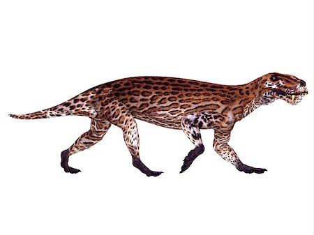 simsearch:400-08694325,k - Lycaenops was a carnivorous mammal-like reptile that lived in South Africa during the Permian Period. Foto de stock - Super Valor sin royalties y Suscripción, Código: 400-08335531