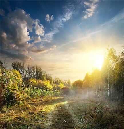 simsearch:400-04873565,k - Fog in autumn wood at the sunrise Fotografie stock - Microstock e Abbonamento, Codice: 400-08335623