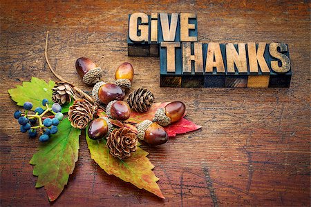 pixelsaway (artist) - give thanks - Thanksgiving concept - text in letterpress wood type printing blocks with cone, acorn, leaf and berries fall decoration Foto de stock - Royalty-Free Super Valor e Assinatura, Número: 400-08335824