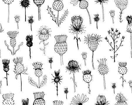 Agrimony plants seamless pattern, sketch for your design. Vector illustration Stock Photo - Budget Royalty-Free & Subscription, Code: 400-08336096