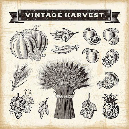 A set of fully editable vintage fruits and vegetables in woodcut style. EPS10 vector illustration. Foto de stock - Super Valor sin royalties y Suscripción, Código: 400-08336261