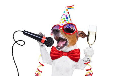 simsearch:400-07822392,k - jack russell dog celebrating new years eve with champagne and singing karaoke with a microphone, isolated on white background Foto de stock - Super Valor sin royalties y Suscripción, Código: 400-08336788