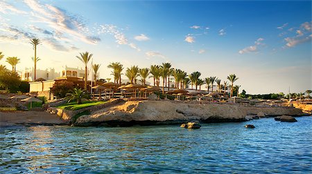 simsearch:400-08336472,k - View on egyptian hotel from the red sea Stock Photo - Budget Royalty-Free & Subscription, Code: 400-08337003