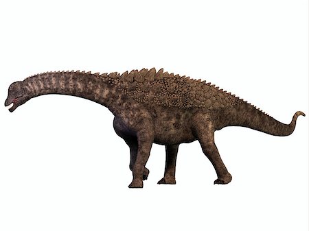 simsearch:400-08332007,k - Ampelosaurus was a herbivorous sauropod dinosaur that lived in Europe during the Cretaceous Era. Foto de stock - Super Valor sin royalties y Suscripción, Código: 400-08337532