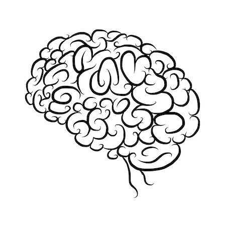 Brain, sketch for your design. Vector illustration Stock Photo - Budget Royalty-Free & Subscription, Code: 400-08337797