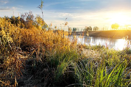 simsearch:400-08336120,k - Dry grass on autumn river at sunrise Foto de stock - Royalty-Free Super Valor e Assinatura, Número: 400-08338907