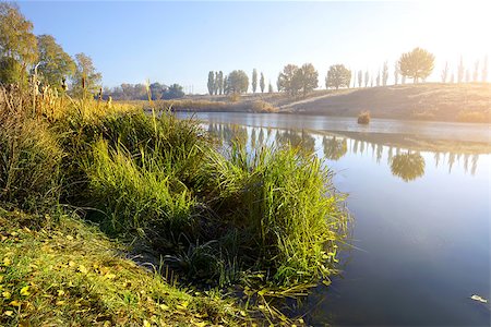 simsearch:400-08336120,k - Reeds on autumn river at the sunrise Foto de stock - Royalty-Free Super Valor e Assinatura, Número: 400-08338908