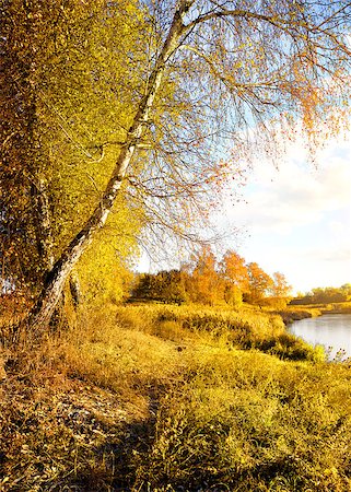 simsearch:400-08336120,k - Vibrant autumn on the river at sunrise Foto de stock - Royalty-Free Super Valor e Assinatura, Número: 400-08339016