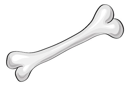 egnismoore (artist) - bone isolated on a white background. Vector Illustration Photographie de stock - Aubaine LD & Abonnement, Code: 400-08339020