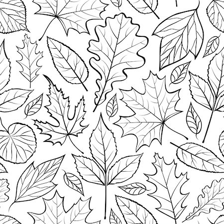 Vector illustration of seamless pattern with  leaves on white backround Stock Photo - Budget Royalty-Free & Subscription, Code: 400-08339529
