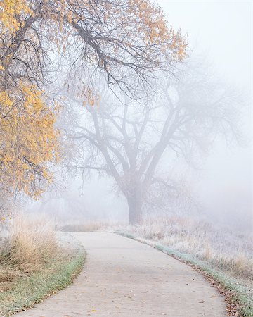 fog and frost on a bike trail  - November morning on the Poudre River Trail near WIndsor, Colorado, Stock Photo - Budget Royalty-Free & Subscription, Code: 400-08339799