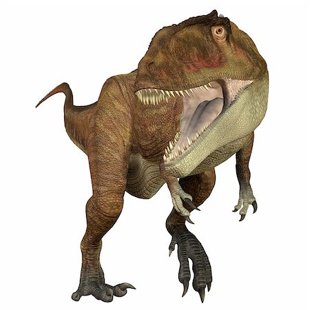 simsearch:400-08694325,k - Carcharodontosaurus was a carnivorous theropod dinosaur that lived in Sahara, Africa during the Cretaceous Period. Foto de stock - Super Valor sin royalties y Suscripción, Código: 400-08331998