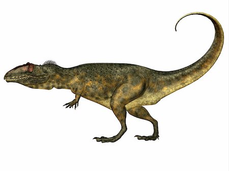 simsearch:400-08694325,k - Giganotosaurus was a theropod carnivorous dinosaur that lived in the Cretaceous Period of Argentina. Foto de stock - Super Valor sin royalties y Suscripción, Código: 400-08332004