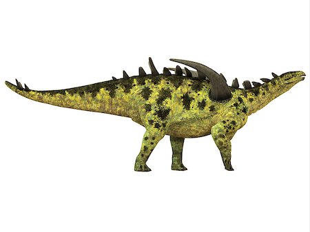 simsearch:400-08332007,k - Gigantspinosaurus was a herbivorous Stegosaur dinosaur that lived in the Jurassic Age of China. Foto de stock - Super Valor sin royalties y Suscripción, Código: 400-08332008