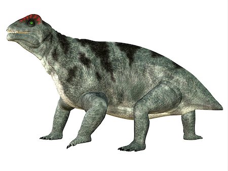 simsearch:400-08332007,k - Moschops was a primeval herbivorous dinosaur that lived in South Africa in the Permian Period. Foto de stock - Super Valor sin royalties y Suscripción, Código: 400-08332015