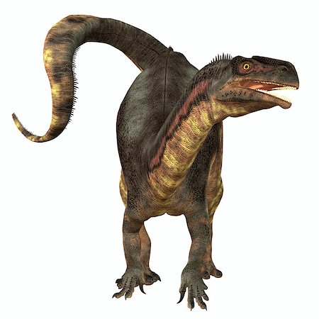 simsearch:400-08332007,k - Plateosaurus was a prosauropod herbivorous dinosaur that lived in the Triassic Age of Europe. Foto de stock - Super Valor sin royalties y Suscripción, Código: 400-08332018