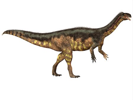 simsearch:400-08332007,k - Plateosaurus was a prosauropod herbivorous dinosaur that lived in the Triassic Age of Europe. Foto de stock - Super Valor sin royalties y Suscripción, Código: 400-08332019