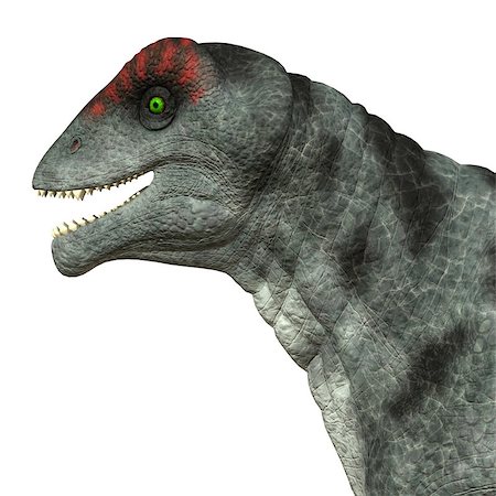 simsearch:400-08332007,k - Moschops was a primeval herbivorous dinosaur that lived in South Africa in the Permian Period. Foto de stock - Super Valor sin royalties y Suscripción, Código: 400-08332013