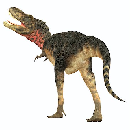 simsearch:400-08694325,k - Tarbosaurus was a carnivorous theropod dinosaur that lived during the Cretaceous Period of Asia. Foto de stock - Super Valor sin royalties y Suscripción, Código: 400-08332026
