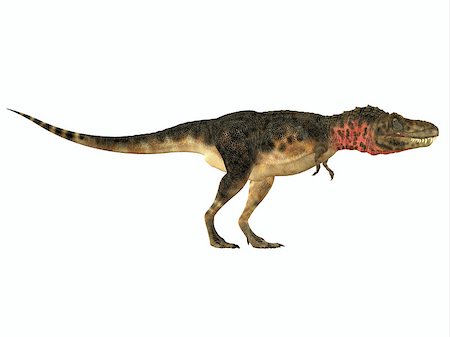 simsearch:400-08694325,k - Tarbosaurus was a carnivorous theropod dinosaur that lived during the Cretaceous Period of Asia. Foto de stock - Super Valor sin royalties y Suscripción, Código: 400-08332027