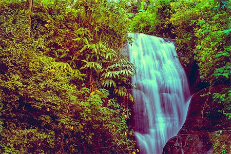 Waterfall in deep forest near. Vibrant color Foto de stock - Super Valor sin royalties y Suscripción, Código: 400-08332348