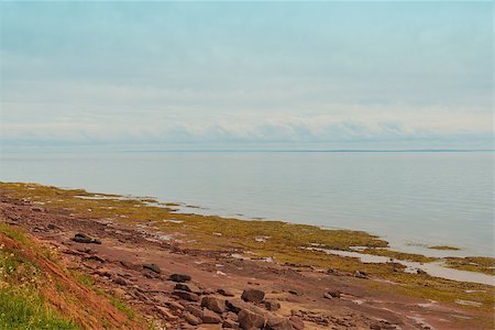 simsearch:400-08335726,k - Wood Islands red sand coastline near the lighthouse (Prince Edward Island, Canada) Foto de stock - Royalty-Free Super Valor e Assinatura, Número: 400-08332910
