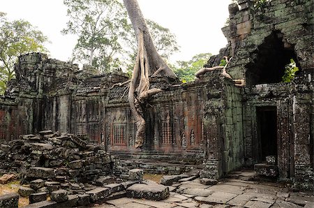 preah khan temple - Preah Khan, part of Khmer Angkor temple complex, popular among tourists ancient lanmark and place of worship in Southeast Asia. Siem Reap, Cambodia. Foto de stock - Super Valor sin royalties y Suscripción, Código: 400-08332946