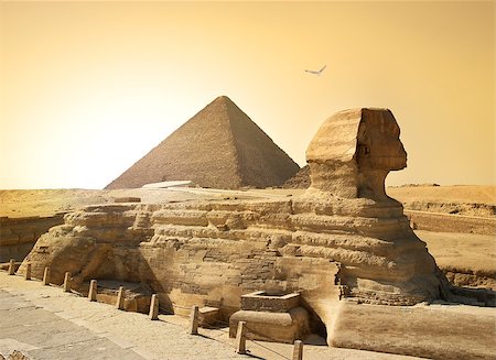 Bird over sphinx and pyramid in egyptian desert Stock Photo - Budget Royalty-Free & Subscription, Code: 400-08333392