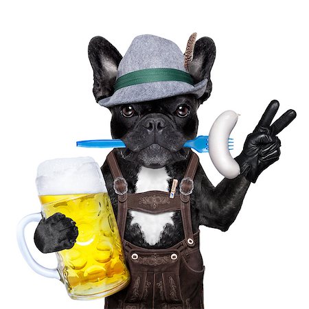 simsearch:400-08163219,k - cool bavarian german french bulldog  dog  with beer mug and sausage in mouth , victory or peace fingers , isolated on white background Photographie de stock - Aubaine LD & Abonnement, Code: 400-08333775