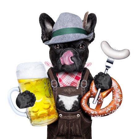 simsearch:400-08163219,k - cool bavarian german french bulldog  dog  with beer mug and sausage and pretzel bread , isolated on white background Photographie de stock - Aubaine LD & Abonnement, Code: 400-08333776