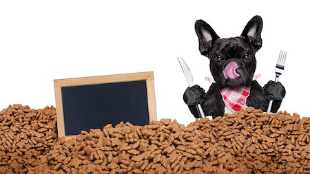 silverware dog - hungry  french bulldog dog behind a big mound or cluster of food with empty blank blackboard  , isolated on white background Stock Photo - Budget Royalty-Free & Subscription, Code: 400-08333771