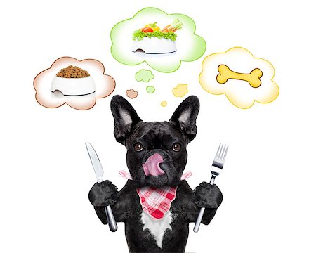 dreaming about eating - hungry  french bulldog dog thinking about the choice between food bowl, vegan bowl or  a big bone , in  speech bubbles, isolated on white background Foto de stock - Super Valor sin royalties y Suscripción, Código: 400-08333784