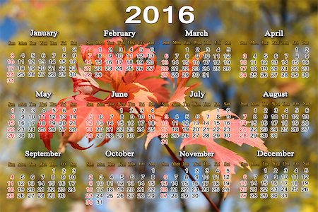calendar for 2016 with red maple leaves on the background Stock Photo - Budget Royalty-Free & Subscription, Code: 400-08333898