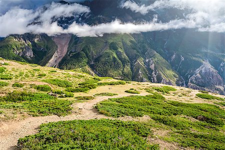 simsearch:6118-09059493,k - Beautiful view on Carpathian mountains. Ukraine Stock Photo - Budget Royalty-Free & Subscription, Code: 400-08333961