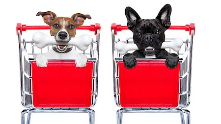 simsearch:400-08735204,k - couple of two  dogs together  inside a shopping cart trolley , behind  a blank  empty banner or placard, with a bone in mouth , isolated on white background Stock Photo - Budget Royalty-Free & Subscription, Code: 400-08333996