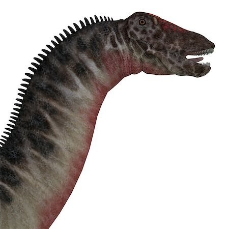 simsearch:400-08332007,k - Dicraeosaurus was a sauropod herbivorous dinosaur that lived in the Jurassic Era of Tanzania, Africa. Foto de stock - Super Valor sin royalties y Suscripción, Código: 400-08344111