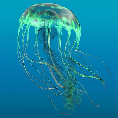 simsearch:400-07578285,k - The jellyfish is a predator of the oceans and feeds on small fish and zooplankton. Fotografie stock - Microstock e Abbonamento, Codice: 400-08344127